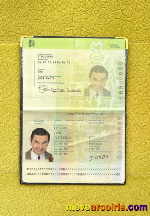 Cote D'lvoire passport photolook